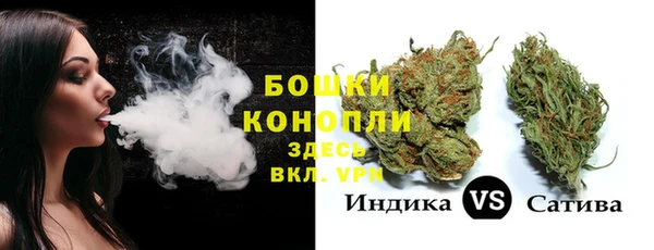 ГАЛЛЮЦИНОГЕННЫЕ ГРИБЫ Щучье