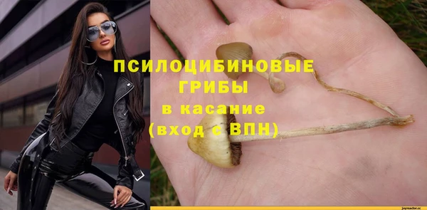прущая мука Арсеньев