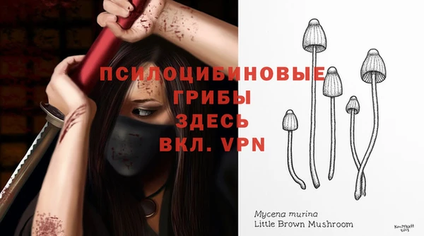 MDMA Щёлкино