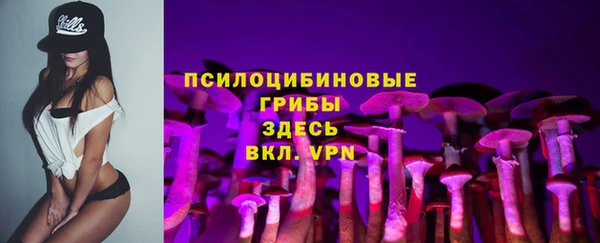 прущая мука Арсеньев