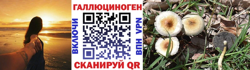 Псилоцибиновые грибы мухоморы  Уяр 